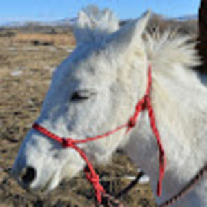 Meet your Posher, Colton